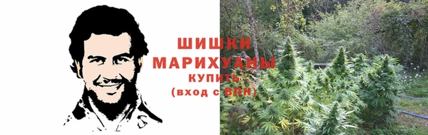 гидропоника Гусь-Хрустальный