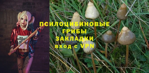 прущие крисы Гусиноозёрск