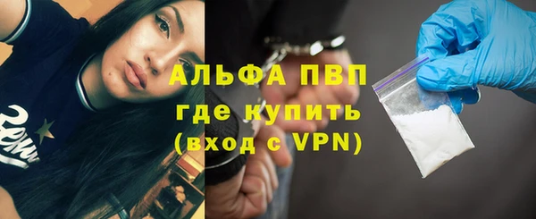 хмурый Гусев