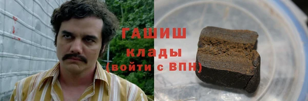 хмурый Гусев