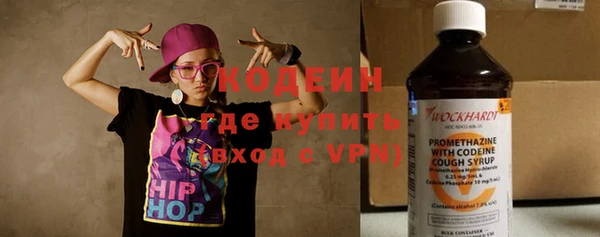 хмурый Гусев