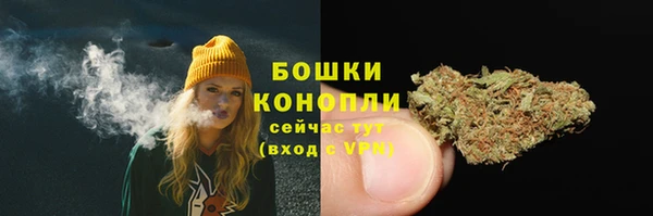 прущие крисы Гусиноозёрск