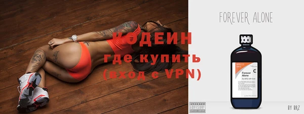 хмурый Гусев