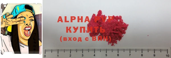хмурый Гусев