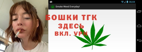 хмурый Гусев