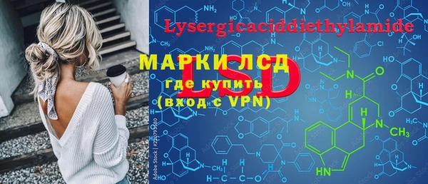хмурый Гусев