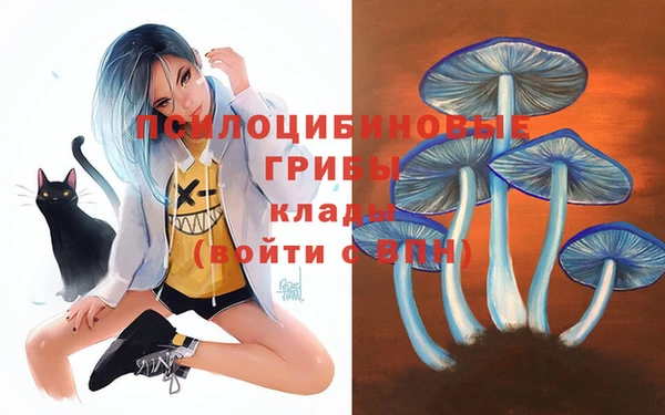 гидропоника Гусь-Хрустальный