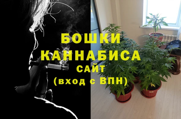 прущие крисы Гусиноозёрск