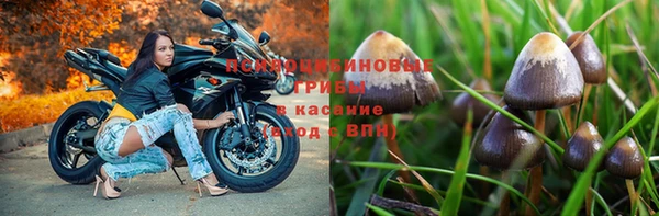 прущие крисы Гусиноозёрск