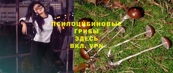 хмурый Гусев